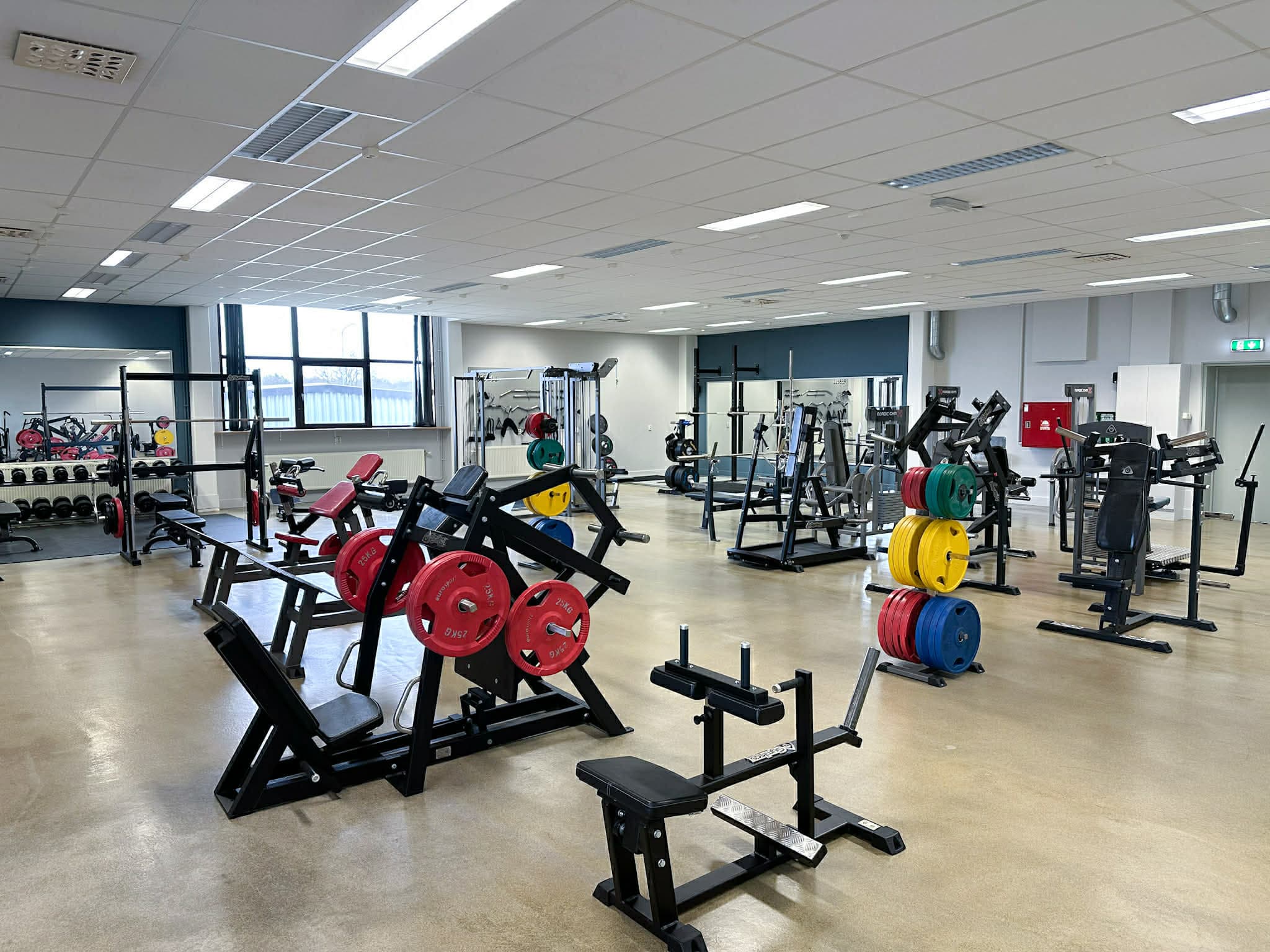 Träningsgolvet på Rebell Gym med maskiner och fria vikter