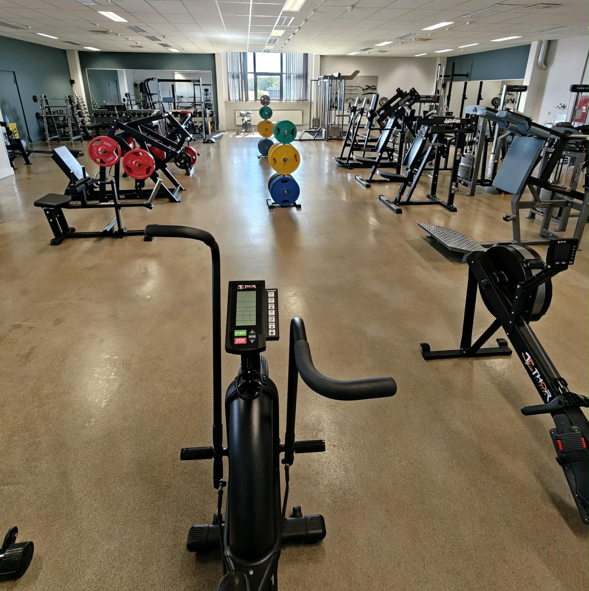 Träningsgolvet på Rebell Gym med maskiner, fria vikter och stora fönster